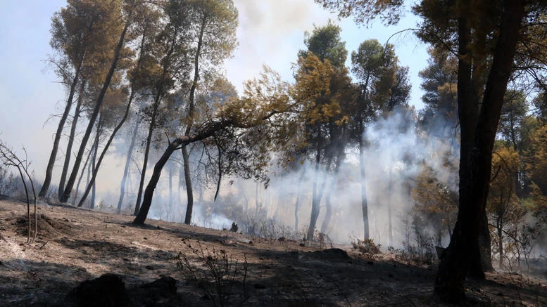 Φωτιά τώρα στο Γαλάτσι